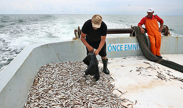Samsun’un örnek balıkçısı! Ağına takılan atıkları geri dönüştürüyor