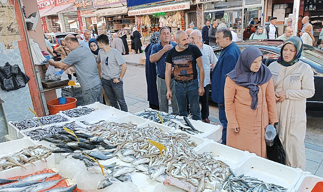Samsun'da hamsi 40 liraya düştü