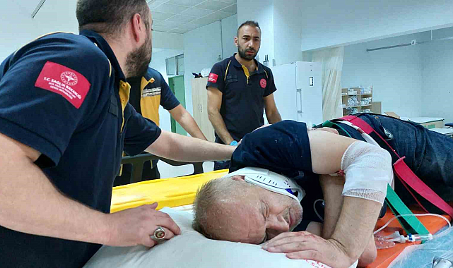 Samsun'da öğretmen ceviz ağacından düştü