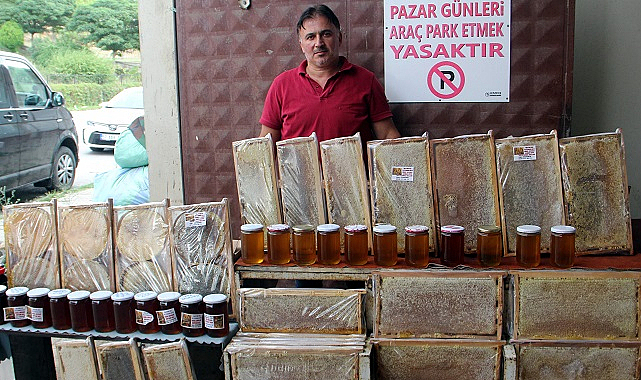 Sinop'ta bal rekoltesinde düşüş yaşanıyor