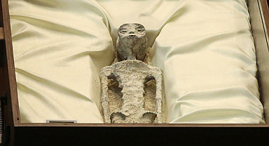 Uzaylı kalıntısını ilk kez gösterdiler: 1000 yaşında oldukları tahmin ediliyor