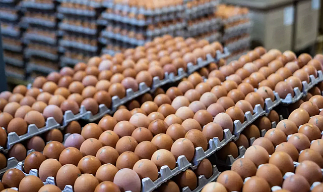 Yumurtadan fiyat zam çıktı
