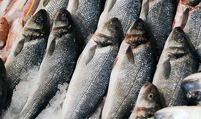 Zincir marketlerde taze balık sezonu başladı