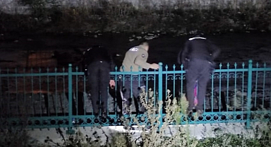 Alaçam'da dereye düşen yavru kedi kurtarıldı