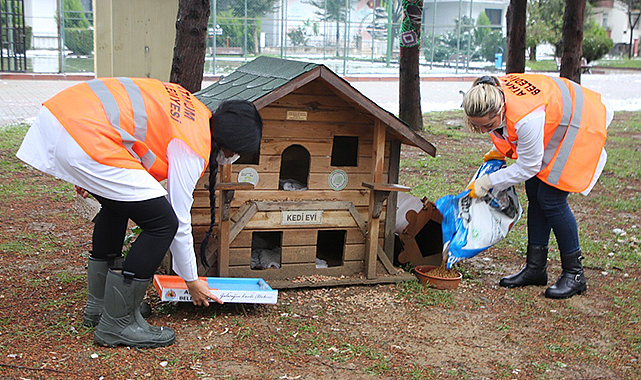 Atakum’da sokak hayvanları için büyük dayanışma