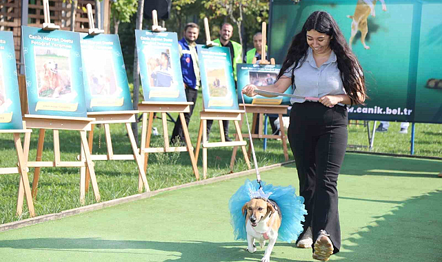 Canik ilçesinde hayvanların defilesi nefes kesti