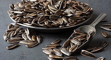 Çekirdek fiyatlarında sert düşüş!