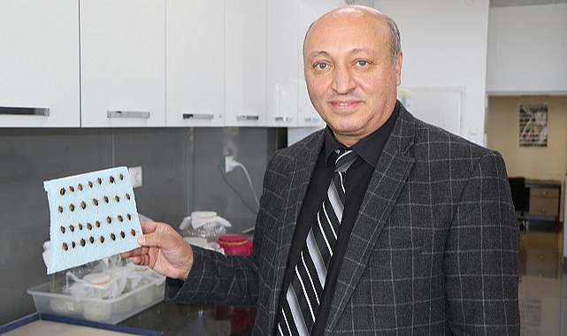 Kahverengi kokarca böceği görüldüğü yerde imha edilmeli