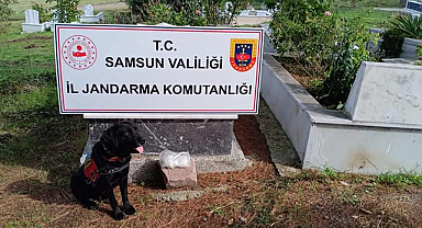 Olacak iş değil! Samsun'da uyuşturucuyu dedesinin mezarına saklamış!