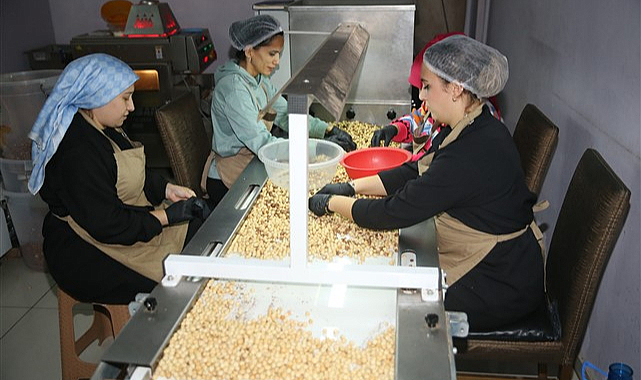 Ordu'da KOSGEB desteğiyle fındık markası