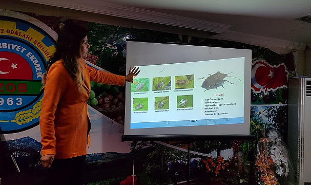 Salıpazarı'nda ‘kahverengi kokarca’ bilgilendirmesi