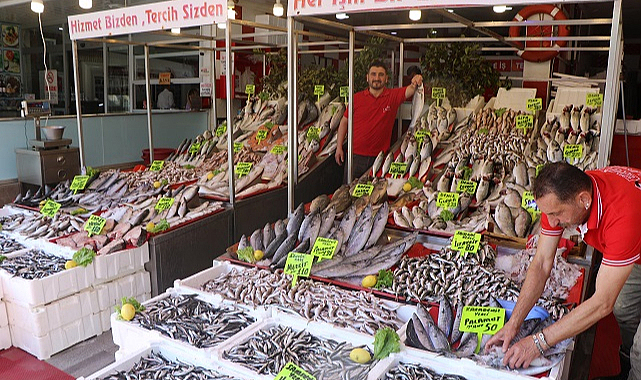 Samsun'da balık tezgahlarında çeşitlilik   