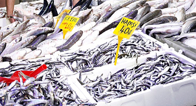 Samsun'da hamsinin fiyatı 40 TL’ye düştü
