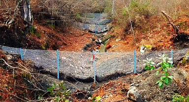 Samsun'da ormandaki erozyona 'kafes tel' önlemi!