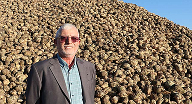 Samsun'da şeker pancarı hasadı 3 kat arttı!