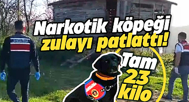 Samsun'un Tekkeköy ilçesinde dev operasyon! 23 kilo esrar ele geçirildi