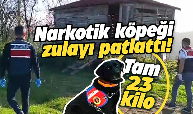 Samsun'un Tekkeköy ilçesinde dev operasyon! 23 kilo esrar ele geçirildi