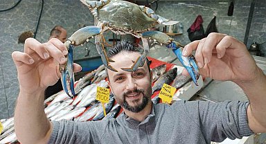 Samsun'da 'mavi yengeçler' ağlara takılıyor