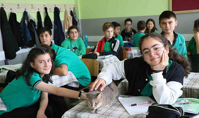 Samsun'da sıradışı bir öğrenci: Kedi Duman