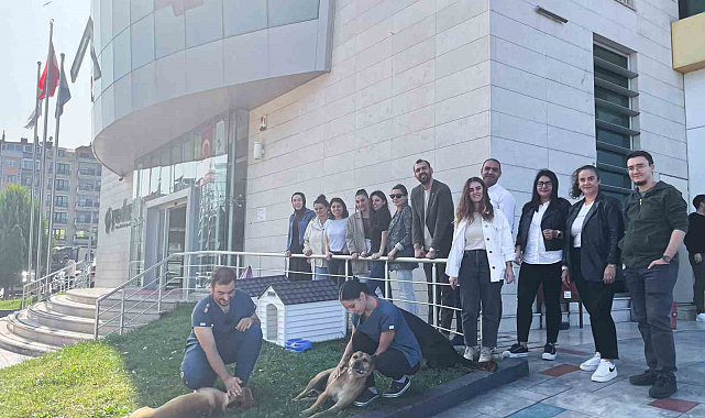 Samsun'da YEDAŞ patili dostlara ev sahipliği yapıyor