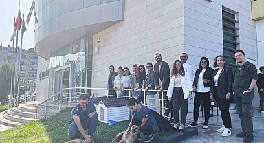 Samsun'da YEDAŞ patili dostlara ev sahipliği yapıyor