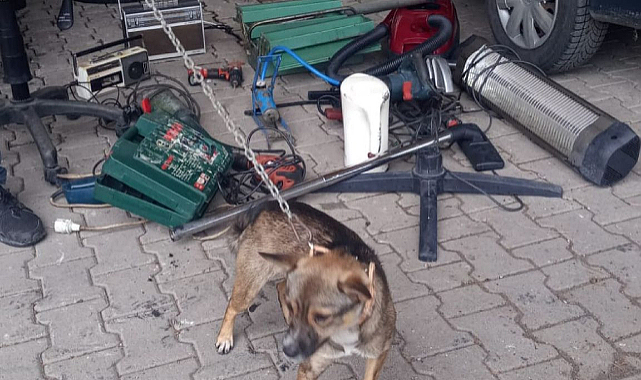 Tekkeköy'de hırsızlar kıskıvrak yakalandı