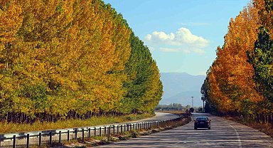 Tokat karayolunu kavak ağaçları renklendirdi