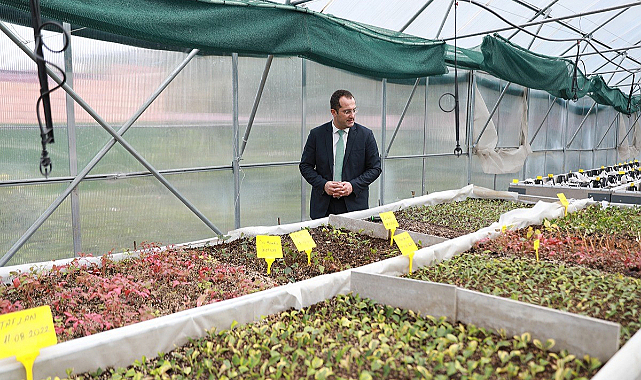 Trabzon'da 12 ay iklime bağlı kalmadan üretim yapıyorlar