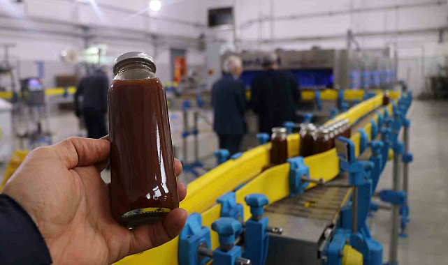 Gümüşhane'nin Kuşburnu Nektarı coğrafi işaret aldı