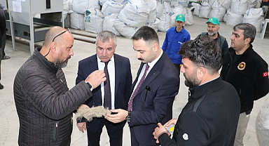 Havza OSB'de kenevir fabrikasında inceleme
