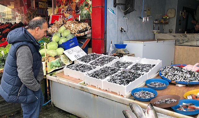 Karadeniz’de hamsi bolluğu