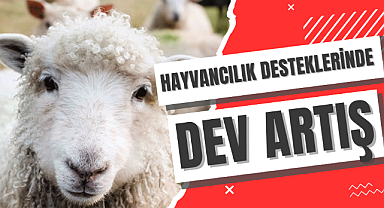 Müjde! Hayvancılık destekleri yüzde 100-150 arttı