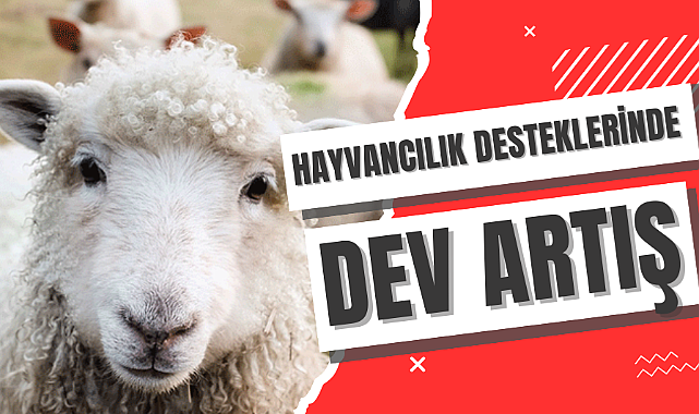 Müjde! Hayvancılık destekleri yüzde 100-150 arttı