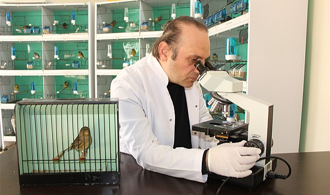 Nesli tükenme tehlikesindeki kuşların korunmasına TÜBİTAK desteği