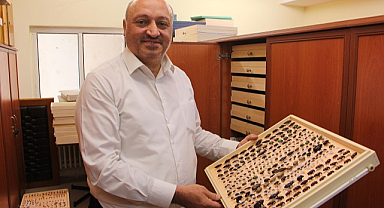 OMÜ'den uyarı! Evlere dadanan böceklere dikkat!   