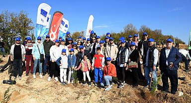 Samsun AB Bilgi Merkezi kente fidan dikti