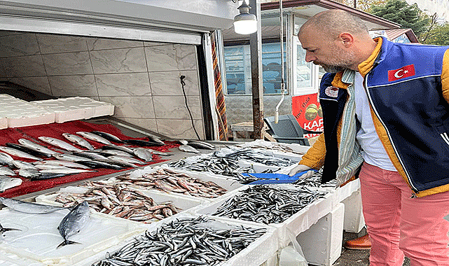 Samsun'da balıkçılık sektörü denetlendi