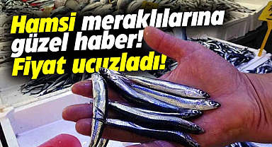 Samsun'da hamsinin fiyatı ucuzladı