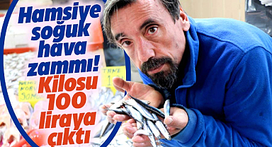 Samsun'da hamsiye soğuk hava zammı! Kilosu 100 liraya çıktı