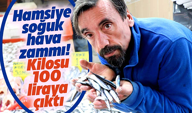 Samsun'da hamsiye soğuk hava zammı! Kilosu 100 liraya çıktı