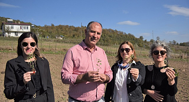 Samsun’da kadın çiftçiye kekik üretimi desteği