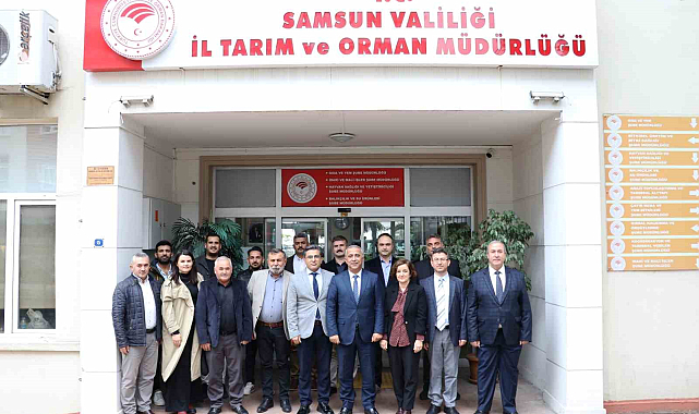 Samsun'da o proje ile süt ve manda verimi arttı