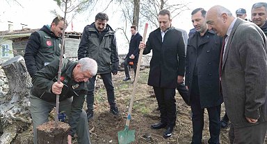 Samsun'un Kavak ilçesinde 100 fidan toprakla buluştu