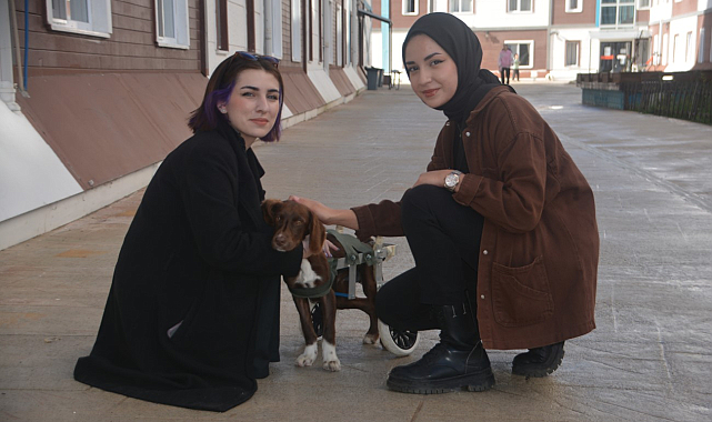 Yurt bahçesinde kalan "Şanslı", öğrencilerin ilgi odağı oldu