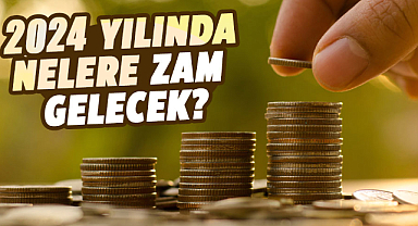 2024 yılında nelere zam gelecek?