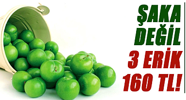 3 erik 160 tl!