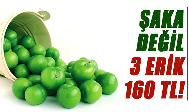 3 erik 160 tl!