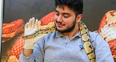 Antalya'da mahalleye korku salan kral pitonu