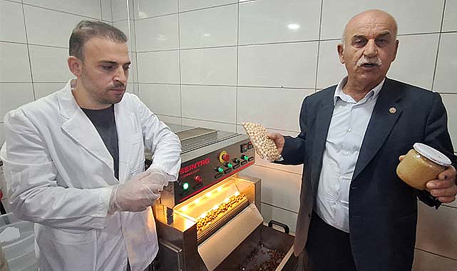 Bafra'da fındık işleme tesisi hizmete girdi