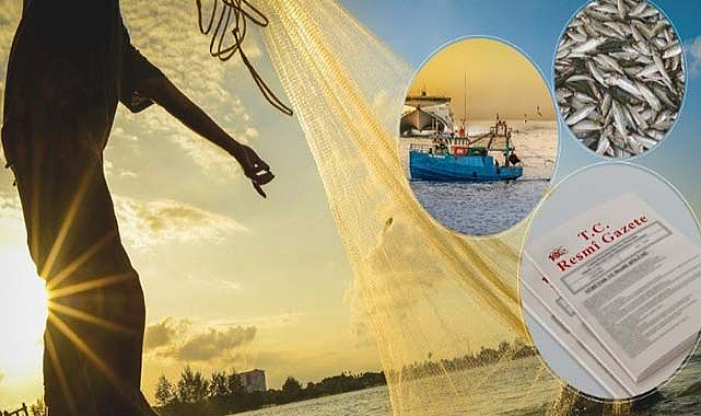 Balıkçılık desteklemesi başvuruları başladı